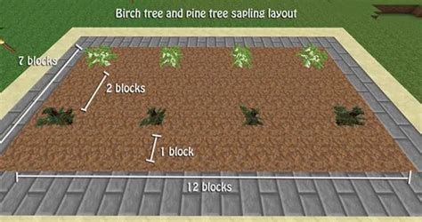 minecraft spruce tree farm spacing.